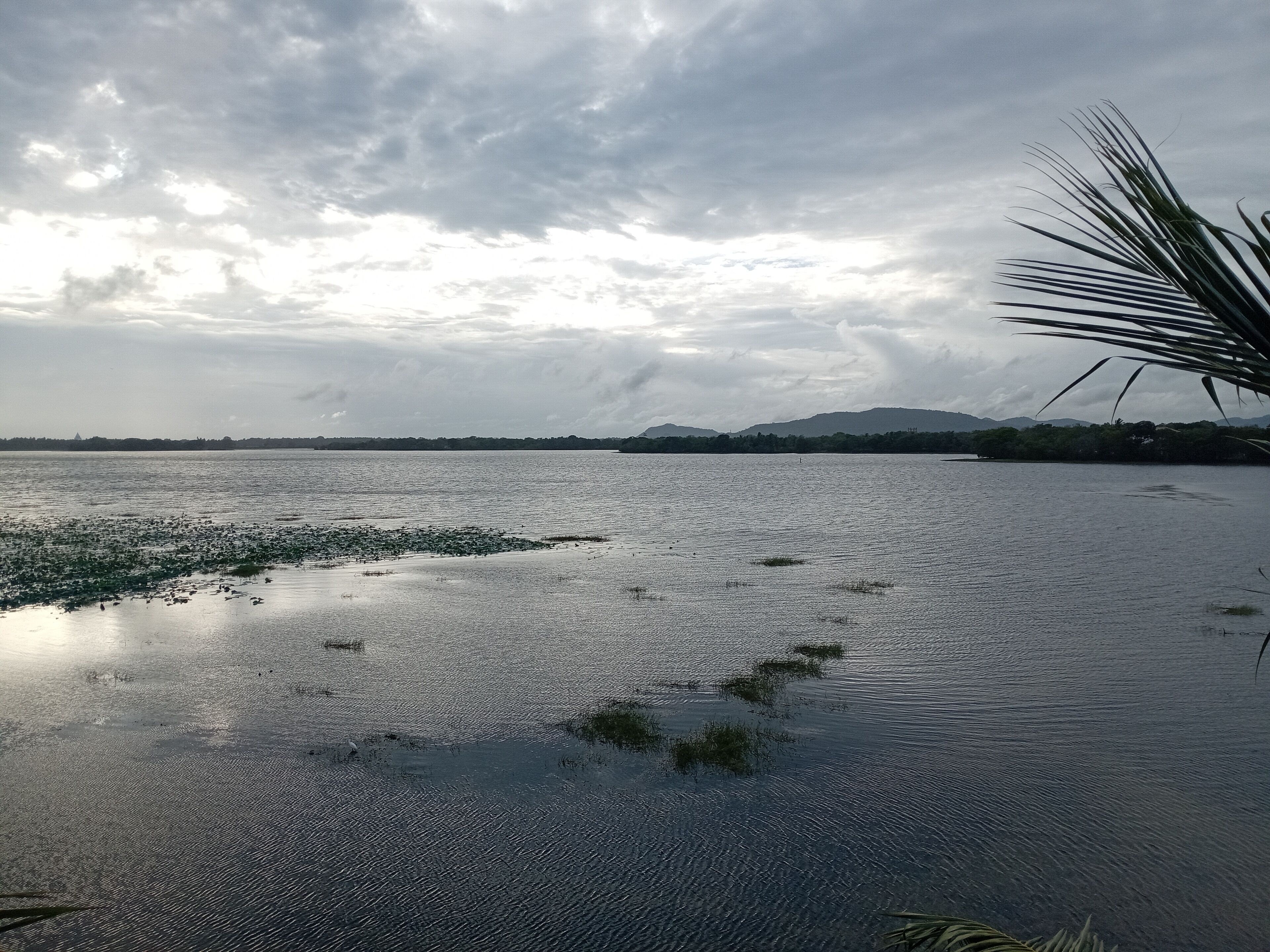 A calm lake with a distant mountain range and a cloudy sky.