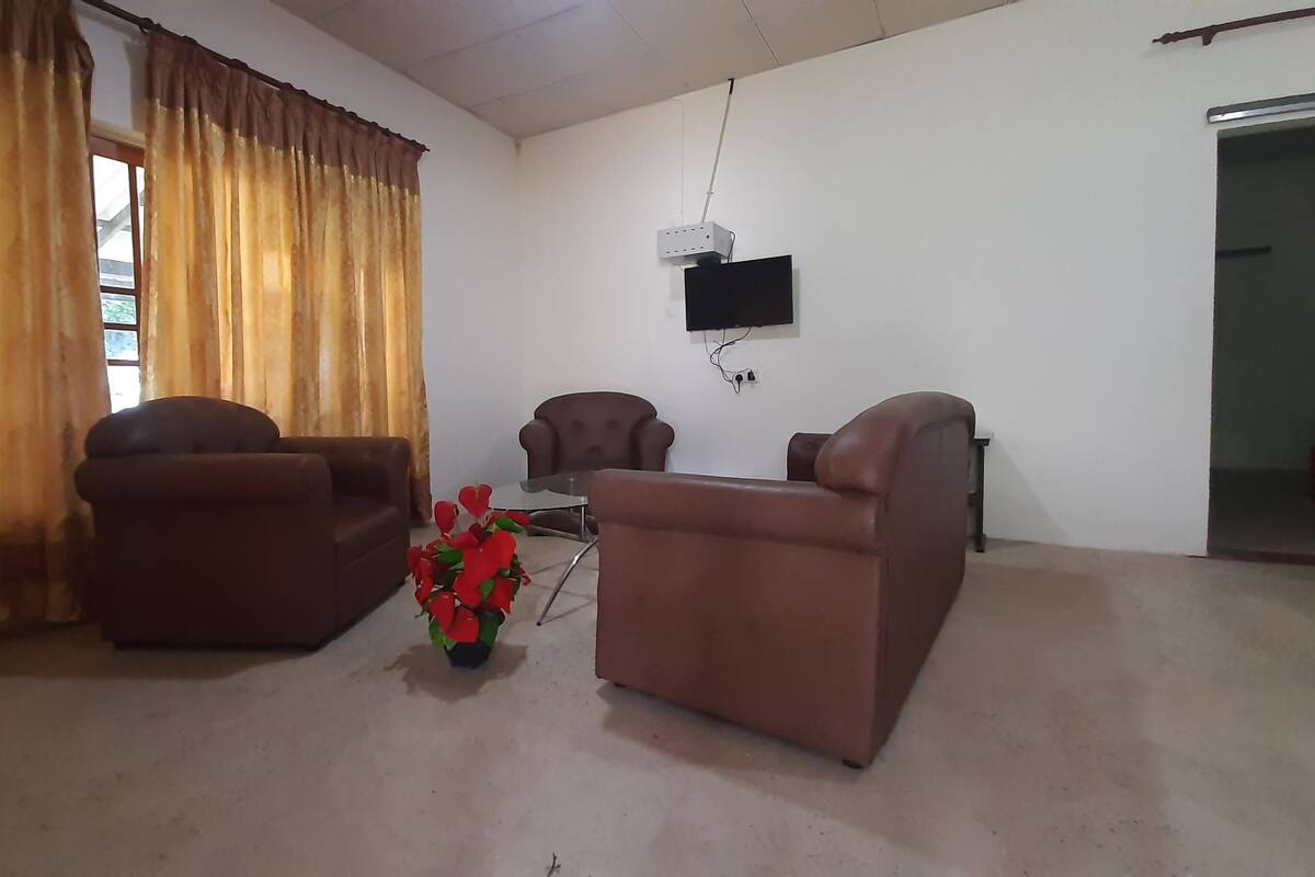 A room with two brown armchairs, a small table, and a potted plant.