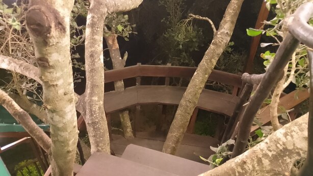 Una escalera de madera rodeada de árboles.