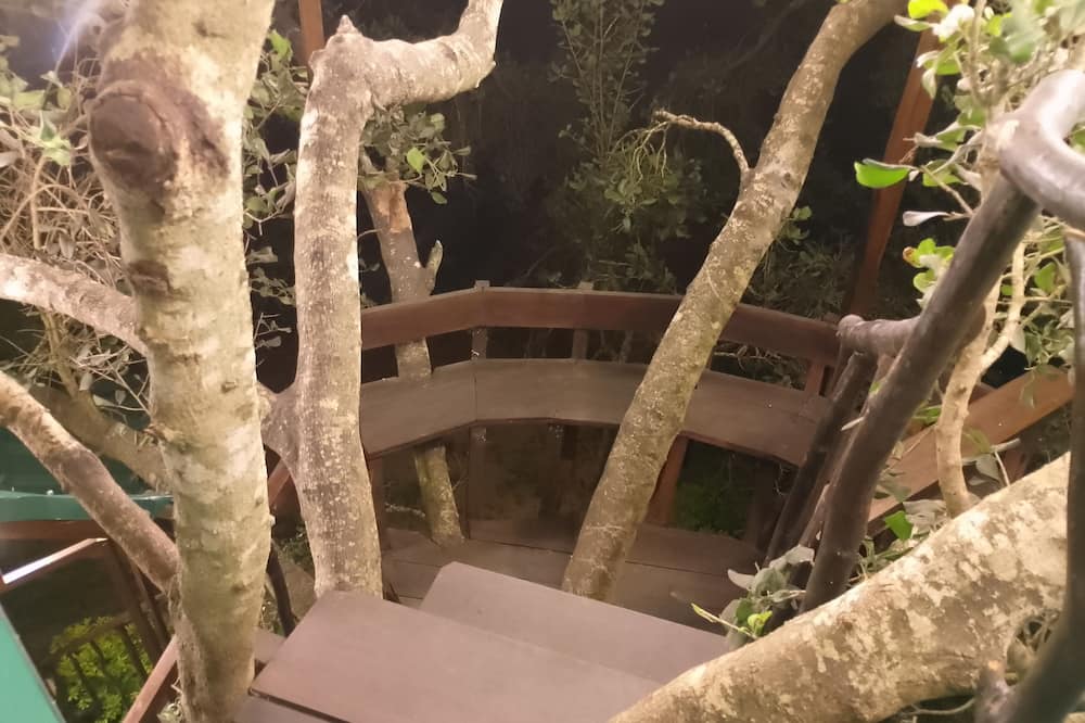 Yala Treetop Lake