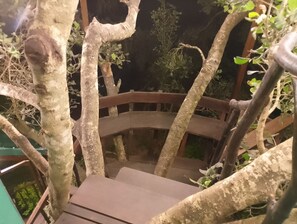 Uma escadaria de madeira cercada por árvores.