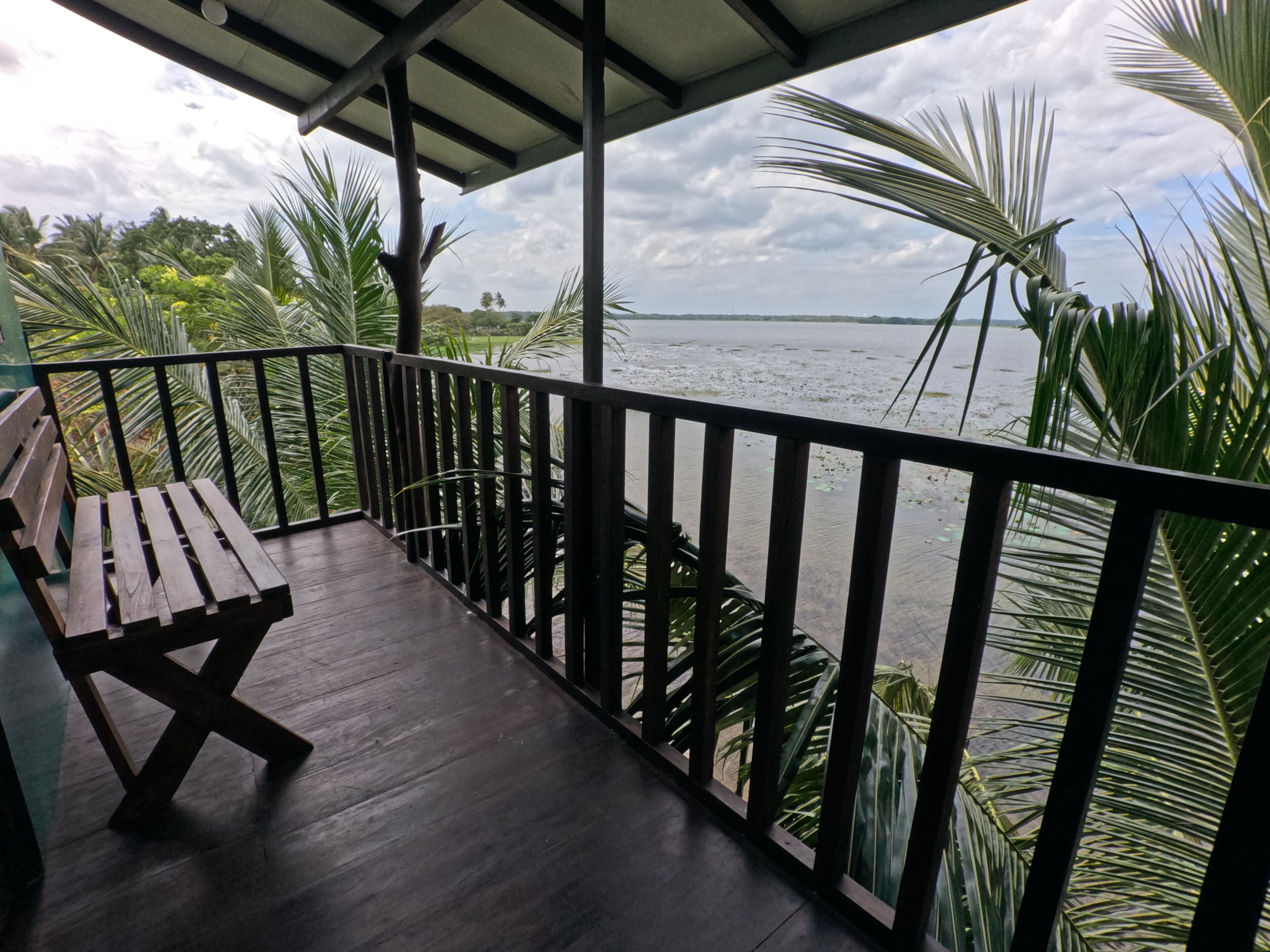 A wooden deck with a bench, surrounded by palm trees, overlooking a body of water.