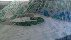 A room with a bed covered in a sheer, green leaf-patterned sheet, a standing fan, and an air conditioning unit. - Yala Treetop Lake (Tissamaharama)