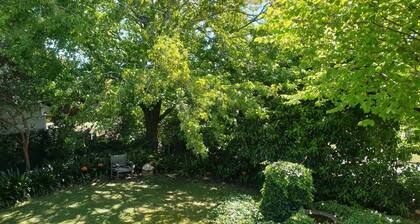 Spacious, peaceful garden apartment