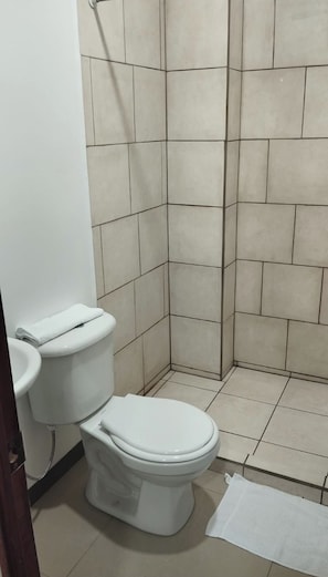 Serviettes fournies, savon, papier toilette