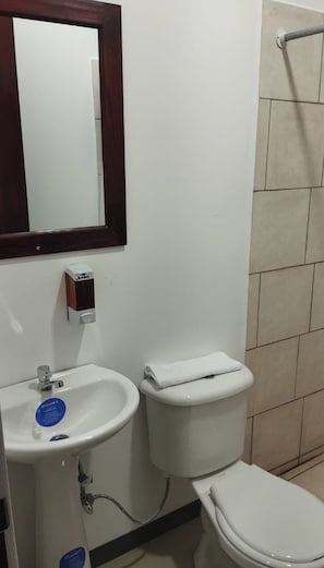 Serviettes fournies, savon, papier toilette