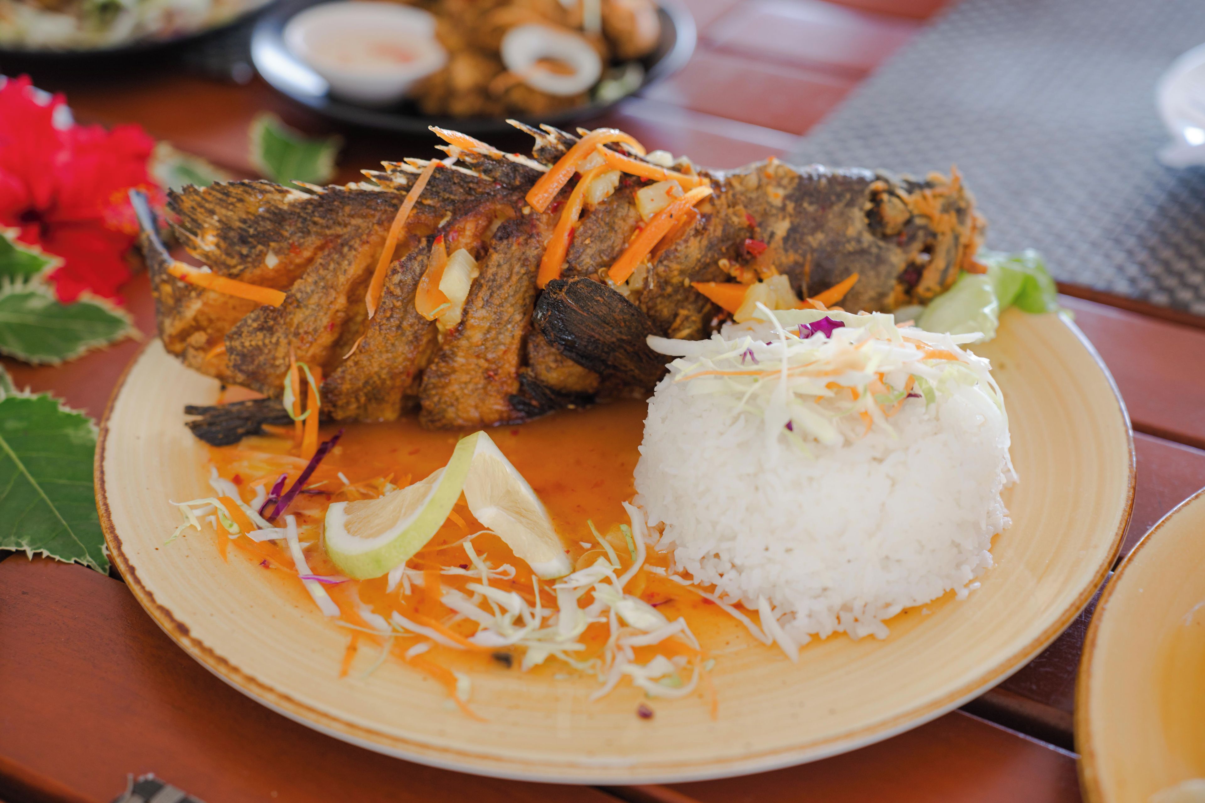 A plate with a grilled fish, white rice, and a side salad.
