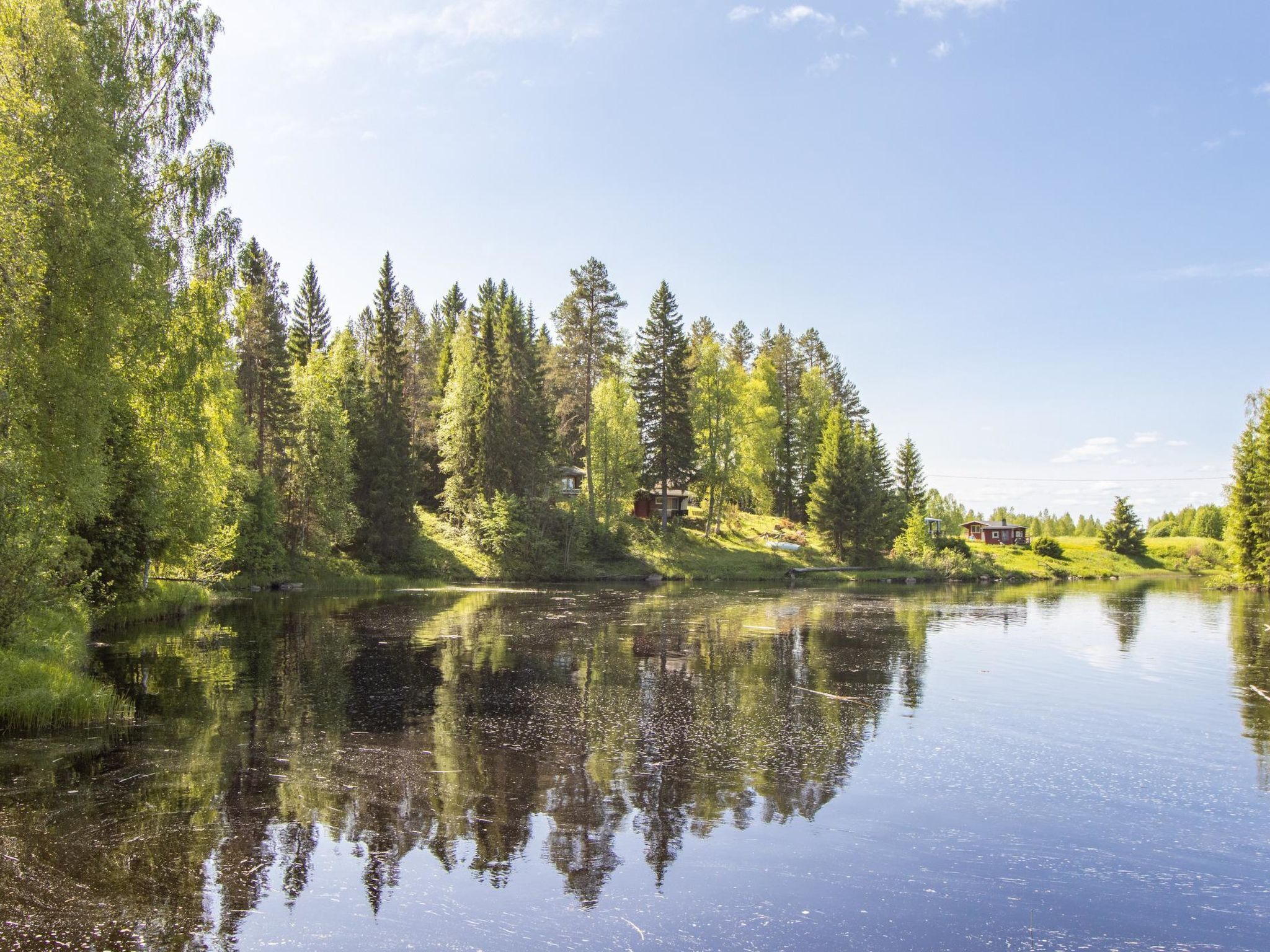 Un paysage paisible au bord d’un lac, avec une forêt dense et une petite cabane.