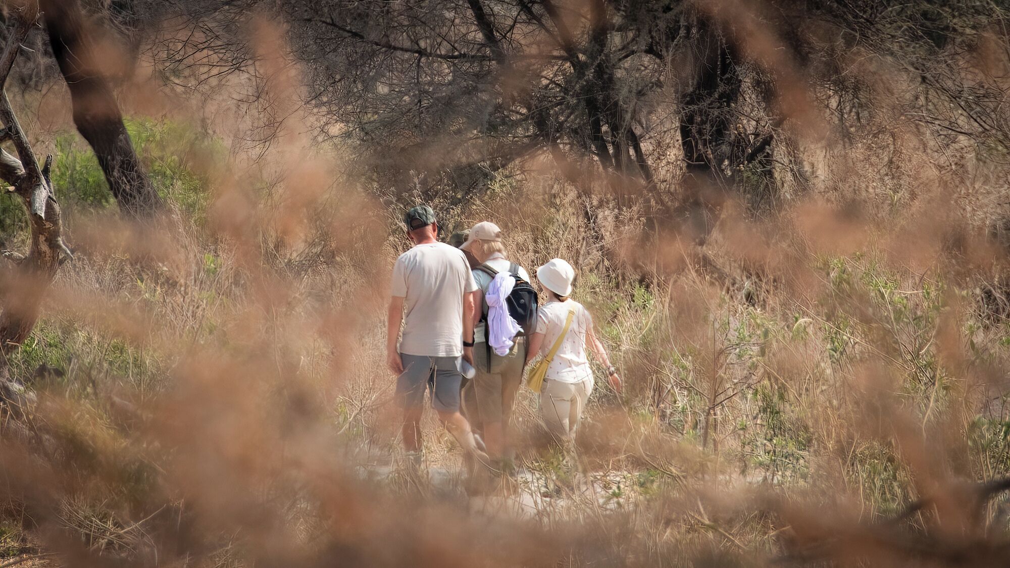 Un groupe de personnes se promène dans une zone naturelle, parsemée d’arbres et d’herbes sèches.