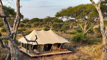Deluxe kamer, 1 twee- of 2 eenpersoonsbedden, uitzicht op park | Terras