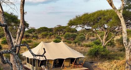 Tarangire Greenland Retreat