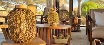 Tarangire Greenland Retreat