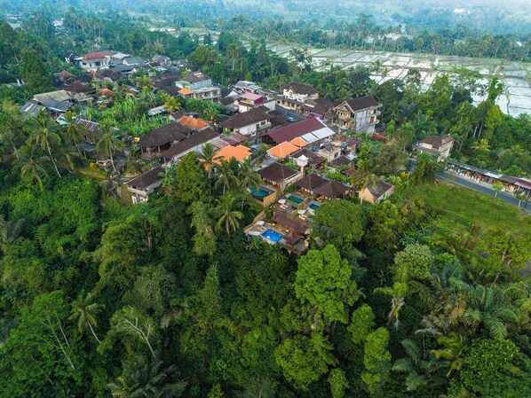 An aerial view of a residential area with houses surrounded by dense greenery and palm trees.