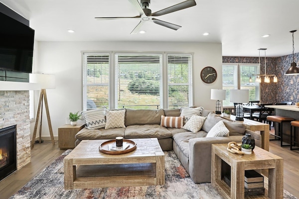 Télévision, cheminée, espaces bureaux