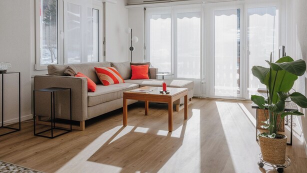 Ein modernes Wohnzimmer mit einer Couch, einem Couchtisch und einer Topfpflanze.