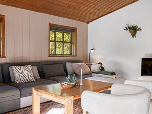 A cozy living room with a wooden ceiling, a grey sofa, a coffee table, and a hanging plant. - "Arsi" - 1.8km from the sea by Interhome (Blokhus)