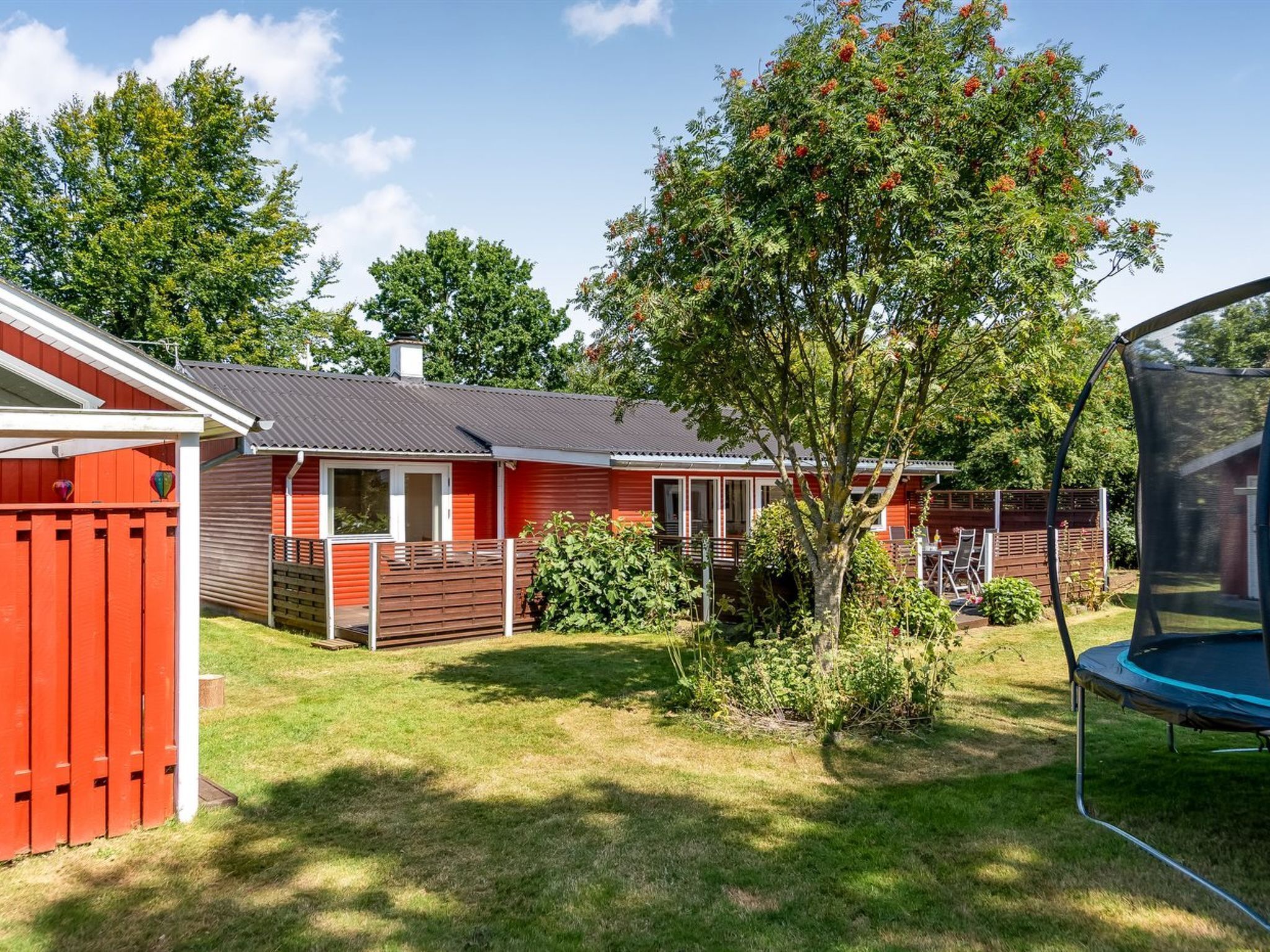 Ein rotes Haus mit einem umzäunten Garten, einem Trampolin und einem Baum mit orangefarbenen Blüten.