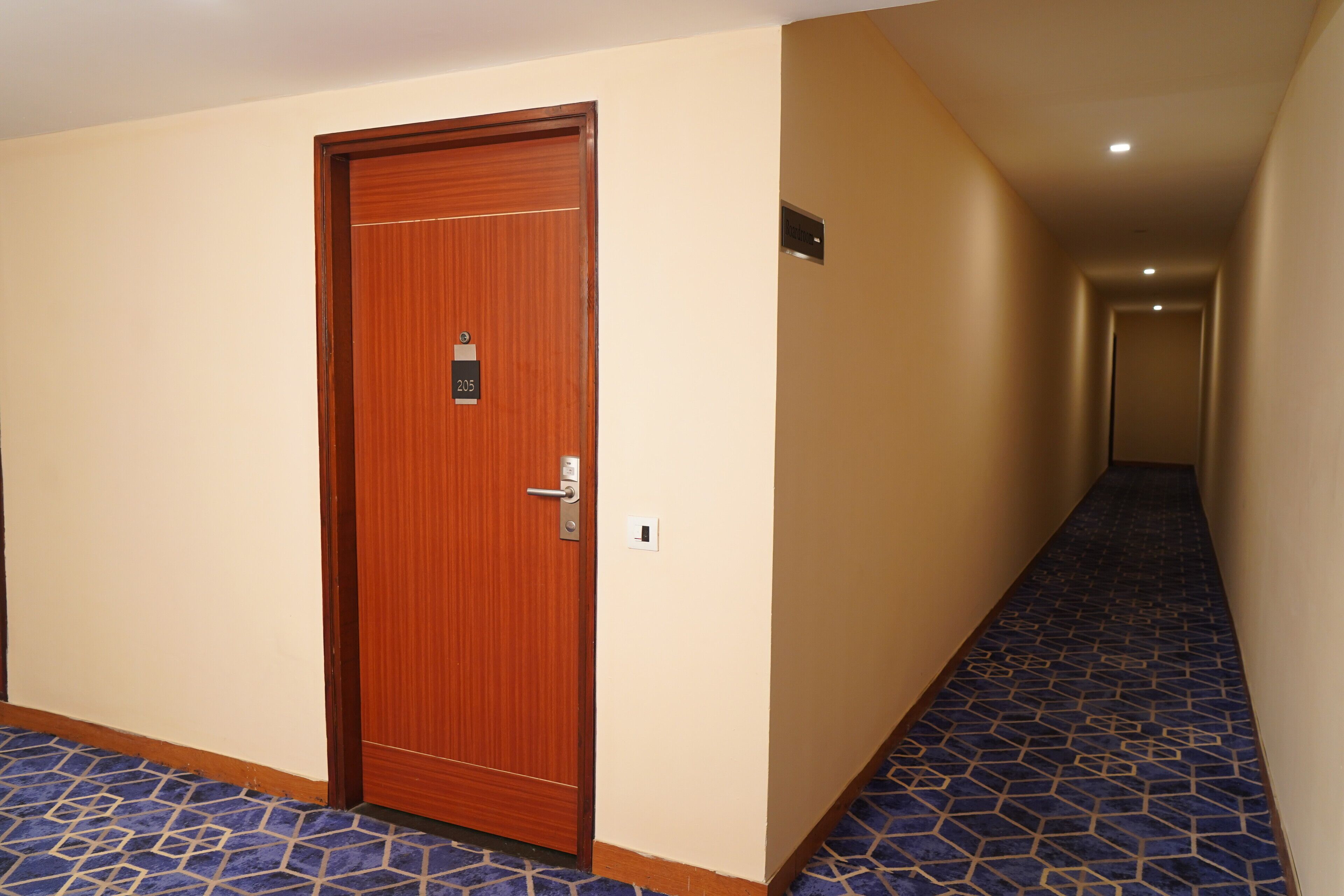 A hallway with a wooden door marked 205, a patterned carpet, and a light-colored wall.