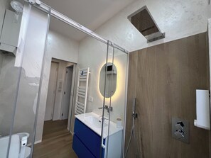 Shower, hair dryer, bidet, towels