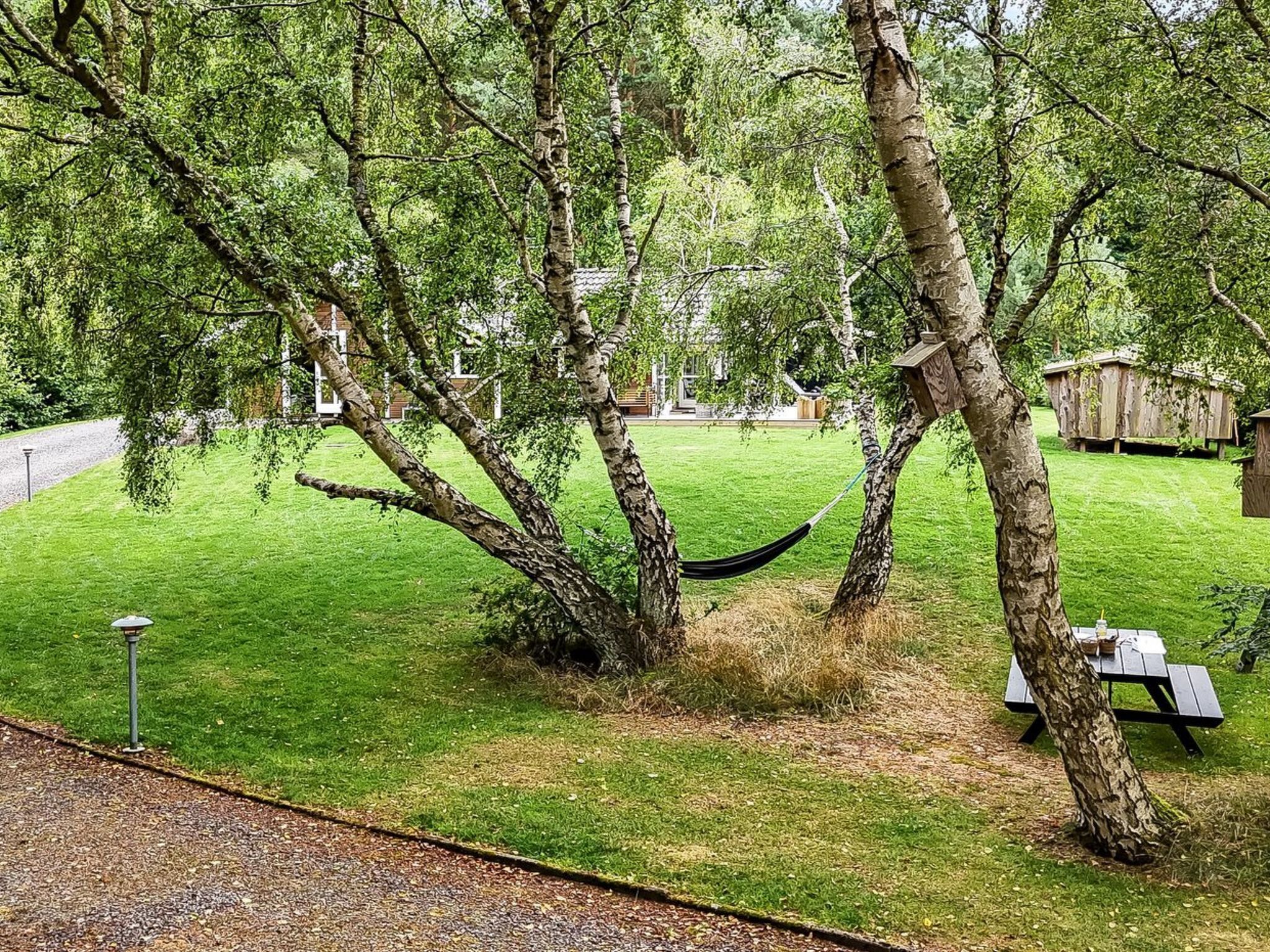A grassy yard with trees, a hammock, and a picnic table.
