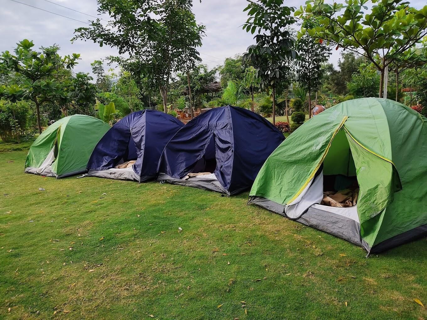 Basic Tent | Bed sheets