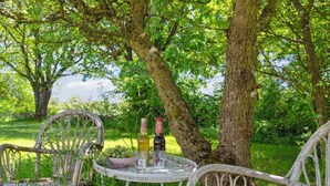 A rustic outdoor setting with wicker chairs and a small round table, surrounded by lush greenery and trees. - "Aarni" - 6.5km from the sea by Interhome (Gudhjem)