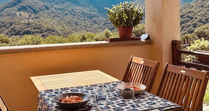 Panoramic two-story dwelling with private garden, surrounded by green woods.
