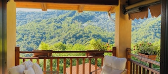 Panoramic two-story dwelling with private garden, surrounded by green woods.