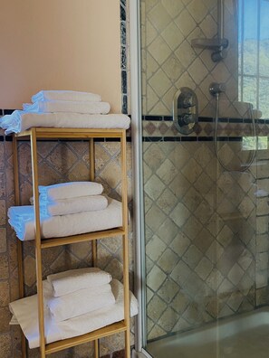 Regadera, secadora de cabello, bidet, toallas 