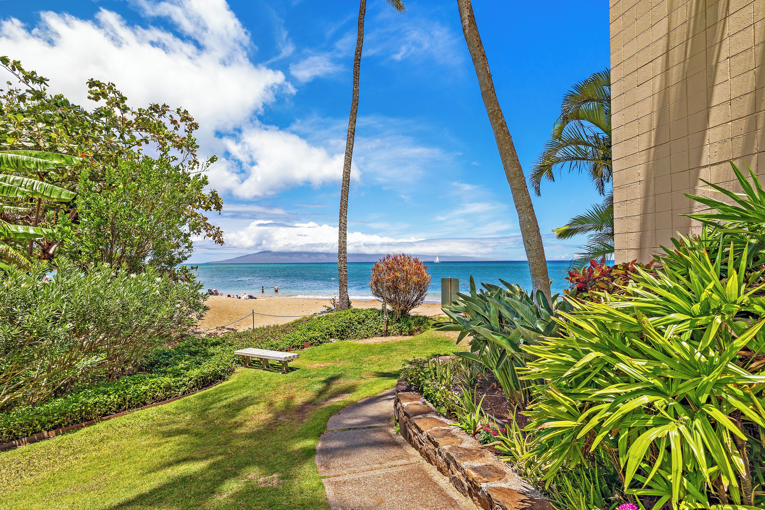 A pathway leading to a beach with palm trees and a view of the ocean.