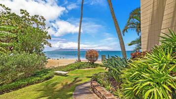 A pathway leading to a beach with palm trees and a view of the ocean.