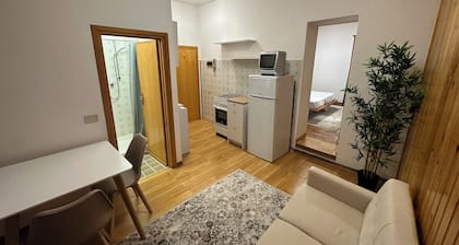 FABULOUS ACCOMMODATION IN BRANZI