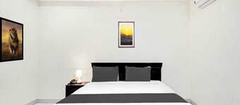 Super Collection O Daba Garden Road