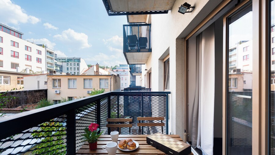 3 bedroom apartment near center