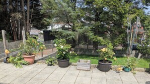 A row of potted plants on a paved walkway.