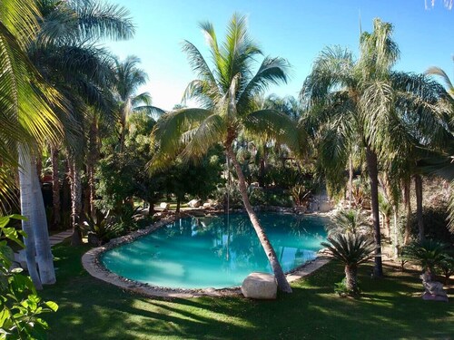 Oasis en San José del Cabo: Jardin Tropical