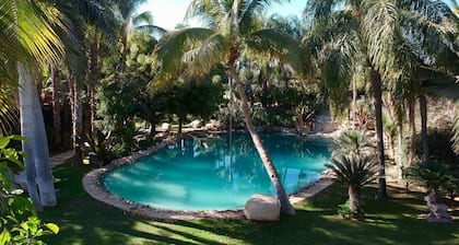 Oasis en San José del Cabo: Jardin Tropical