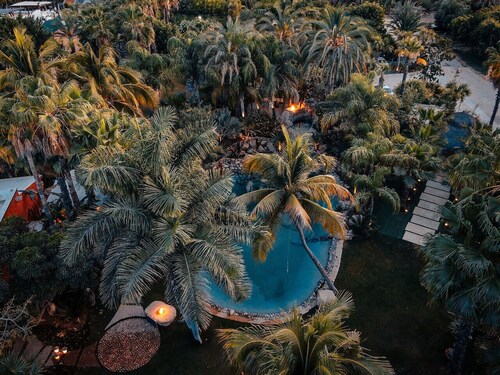 Oasis en San José del Cabo: Jardin Tropical