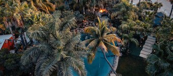 Oasis en San José del Cabo: Jardin Tropical