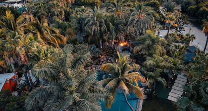 Oasis en San José del Cabo: Jardin Tropical