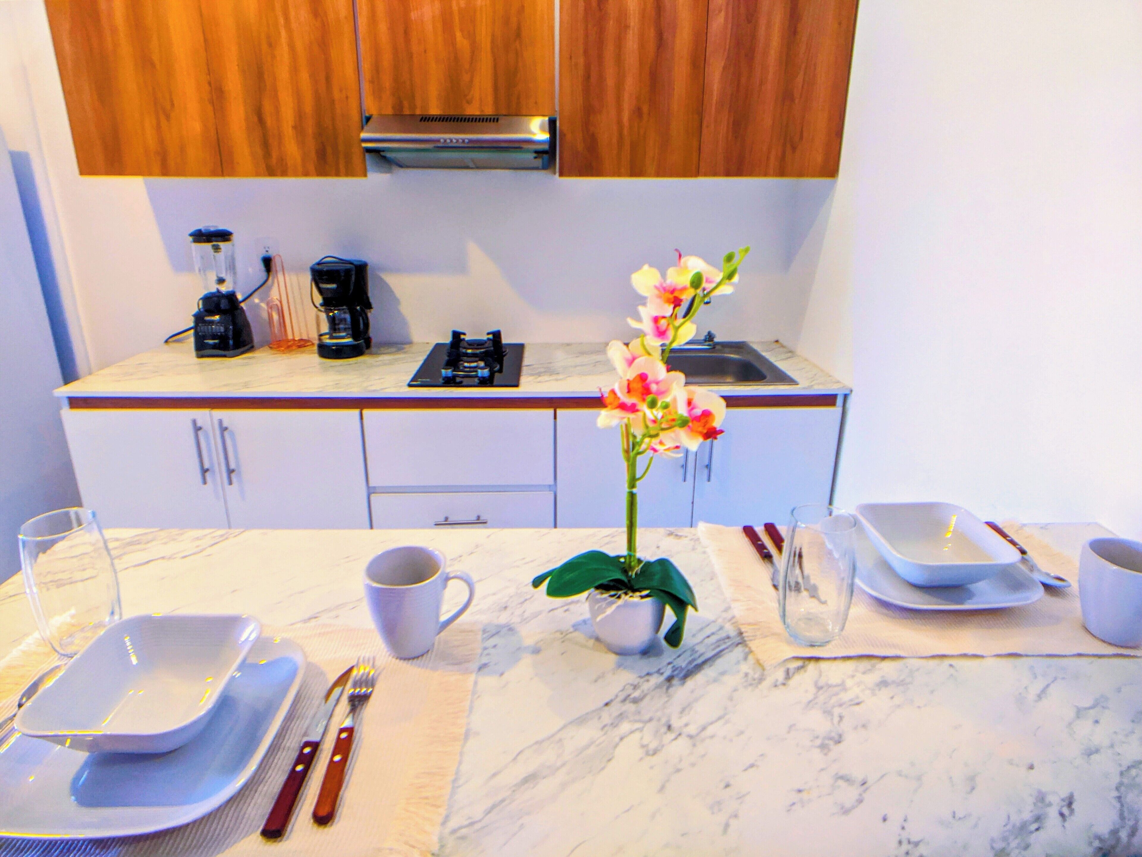 Kühlschrank, Herdplatte, Wasserkocher mit Kaffee-/Teezubehör, Mixer