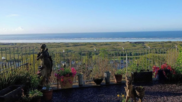 Un balcón con vista al mar, plantas en macetas y una estatua.