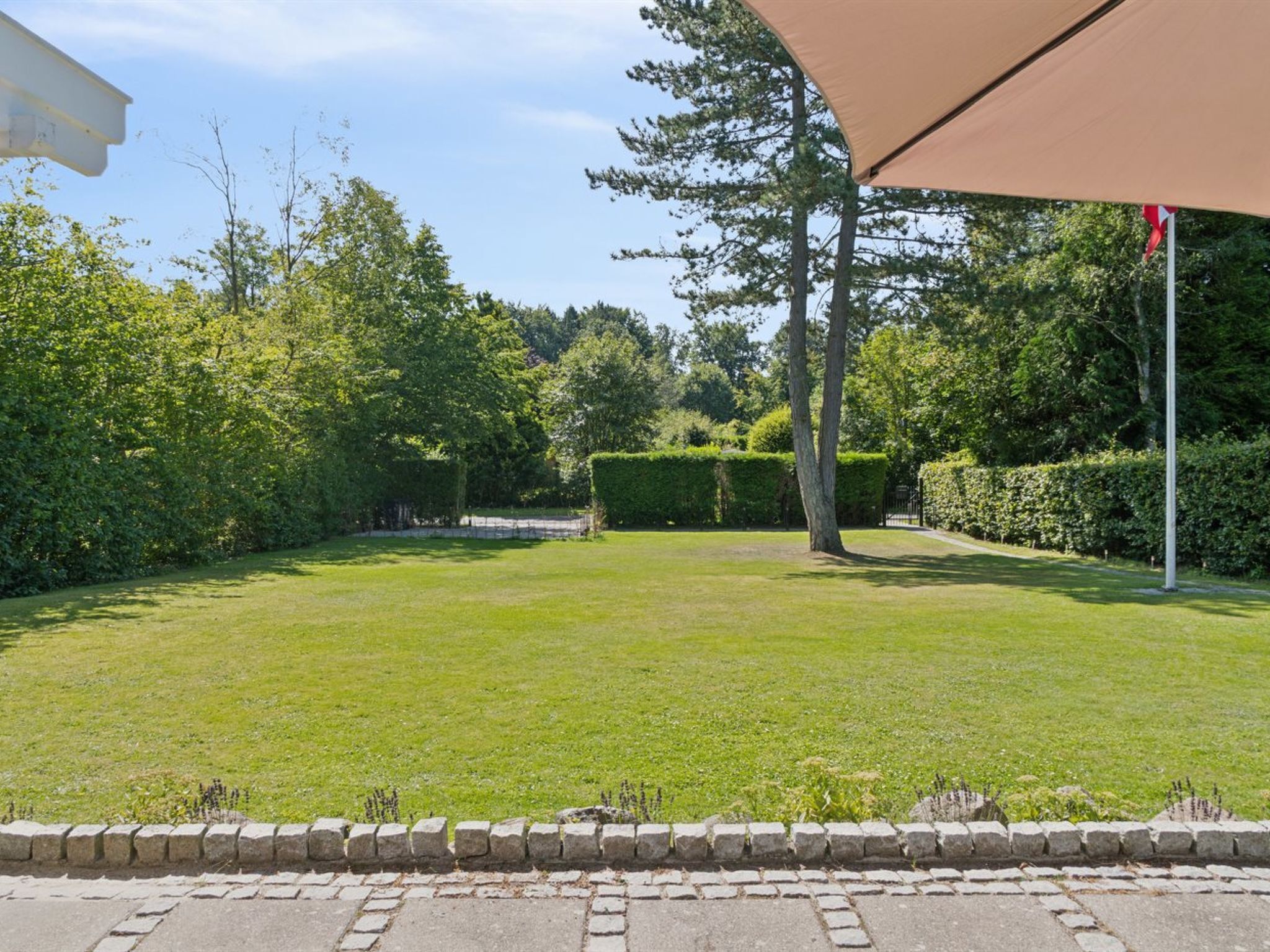 A well-maintained lawn with a stone border, a large tree, and a hedge in the background.