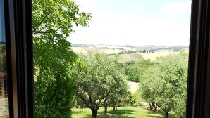 Una finestra che si affaccia su un paesaggio verde, con alberi e una collina in lontananza.