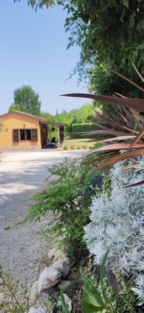 Property grounds - A house in nature, quiet and poetic, ideal for recharging your energy. (Marche)