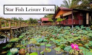 Exterior - ioic (Kulai)