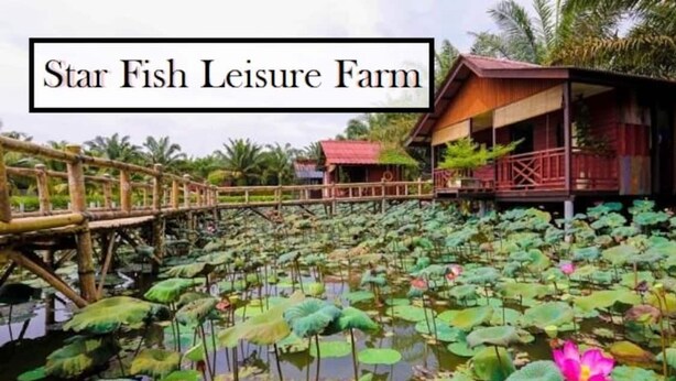 A leisure farm with a wooden bridge over water, surrounded by lily pads and a small building.