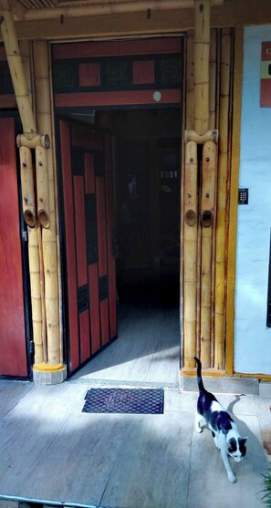 Détail de l’extérieur