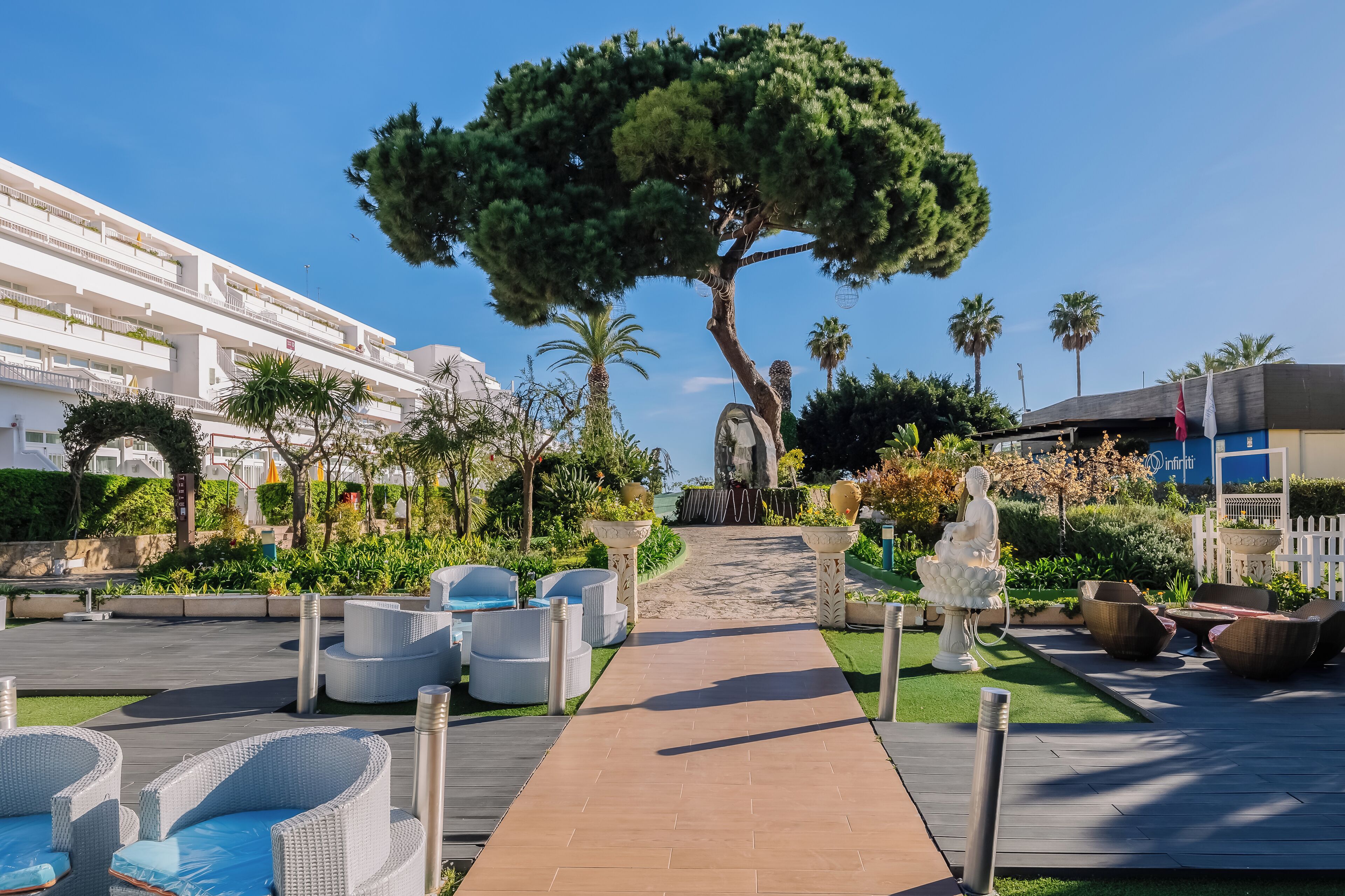 テラス / パティオ