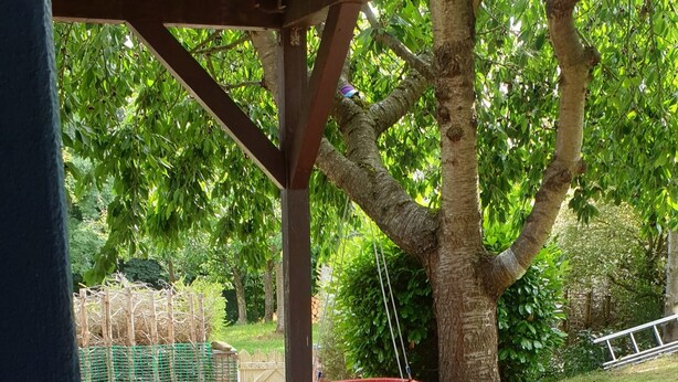 A patio area with a swing, a bench with cushions, and a table. - Beautiful vacation apartment for fitters (Bärnau)